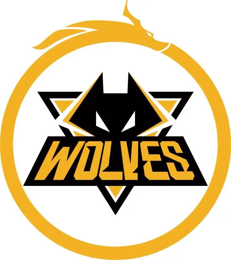 LGD官方公告：中单 haichao ；正式转会至LNG俱乐部，从现在开始